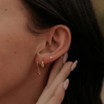 Load image into Gallery viewer, Aspen Diamond Hoops
