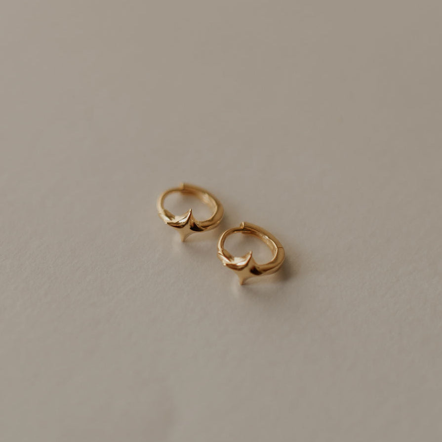 Pair of gold earrings on a beige background