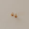 Pair of gold earrings on a beige background