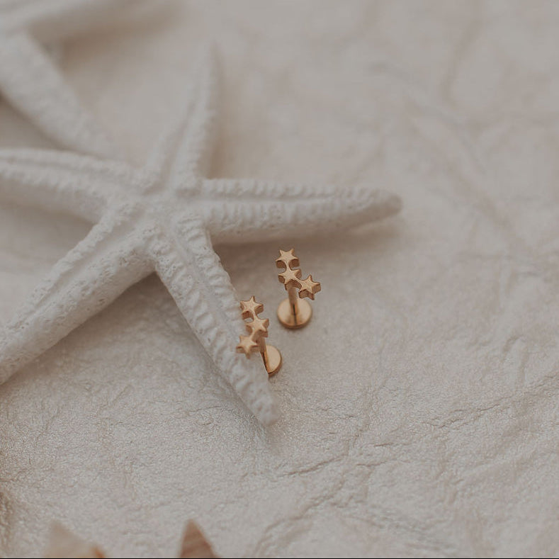 Gold earrings with starfish and shells on a textured surface