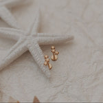 Load image into Gallery viewer, Gold earrings with starfish and shells on a textured surface
