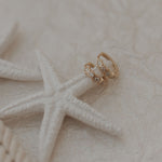 Gold star earrings on a starfish with a textured beige background