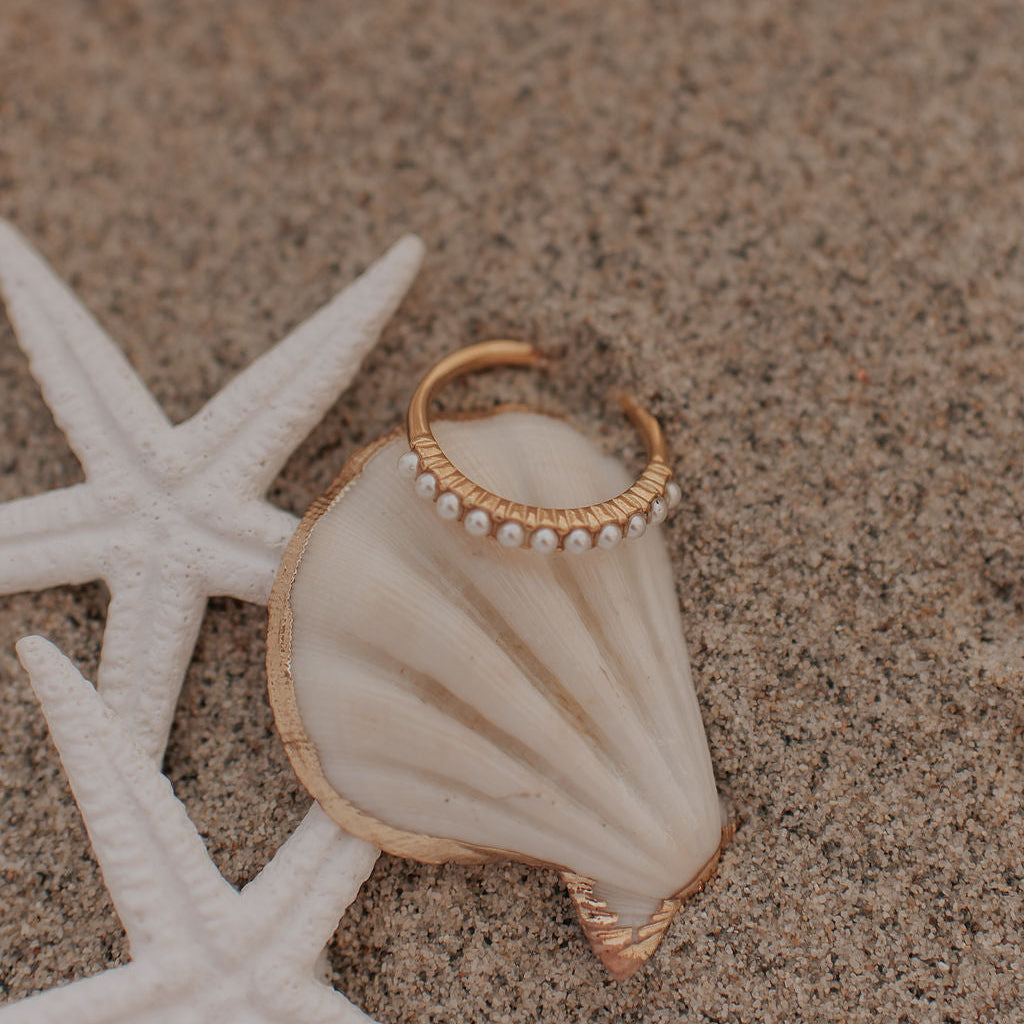 Shell with a pearl ring on sand next to starfish