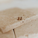 Load image into Gallery viewer, Dolly Boot Studs
