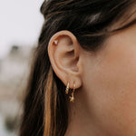 Load image into Gallery viewer, Starfish Hoops
