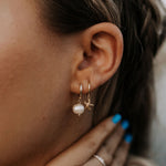 Load image into Gallery viewer, Starfish Hoops
