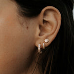 Load image into Gallery viewer, Sea Shell Studs
