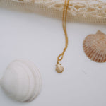 Load image into Gallery viewer, Sea Shell Necklace
