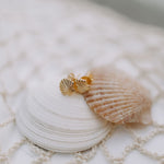 Load image into Gallery viewer, Sea Shell Studs
