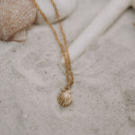 Load image into Gallery viewer, Sea Shell Necklace
