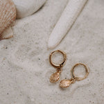 Load image into Gallery viewer, Sea Shell Hoops
