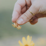 Load image into Gallery viewer, Honey Bee Hoops
