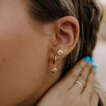 Load image into Gallery viewer, Sea Shell Hoops
