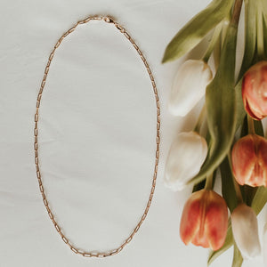 *Littles* Madeline Gold Filled Paperclip Necklace