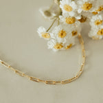 Load image into Gallery viewer, Madeline Gold Filled Paperclip Necklace
